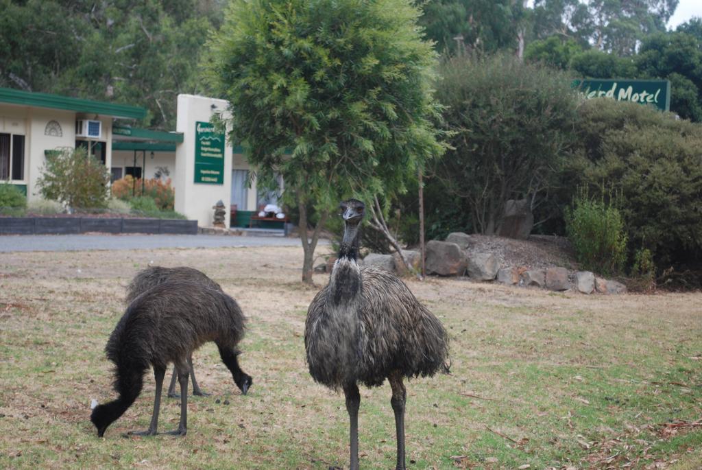 Gariwerd Motel Halls Gap Exterior foto